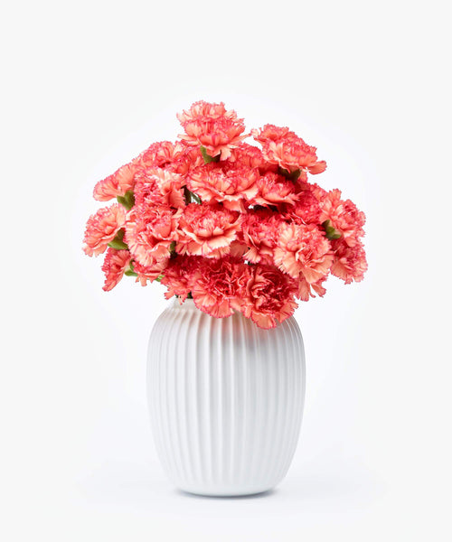 Flame Scarlet | Anjers