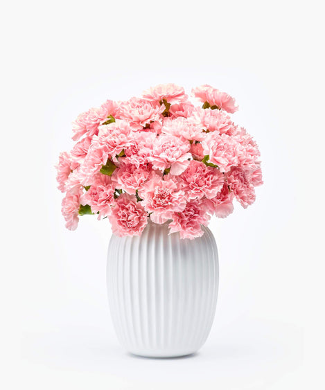 roze anjers boeket