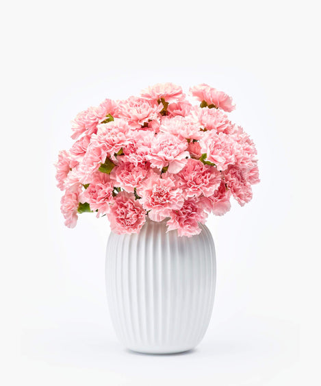 roze anjers boeket