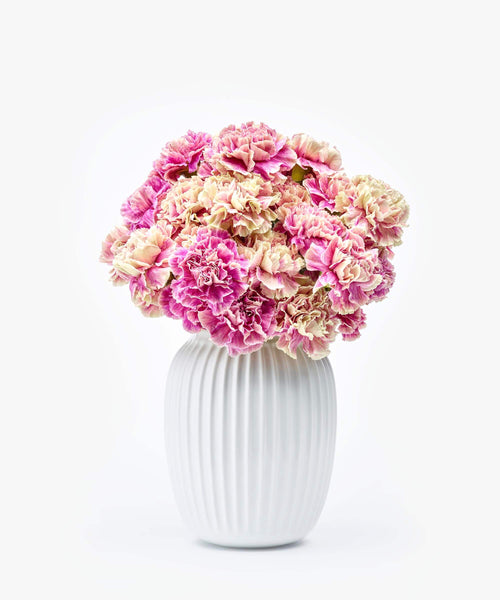 roze anjers boeket